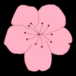 黄色视频软件免费下载APP应用